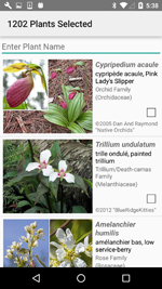 App List of Plant