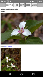 App Photos for Plant